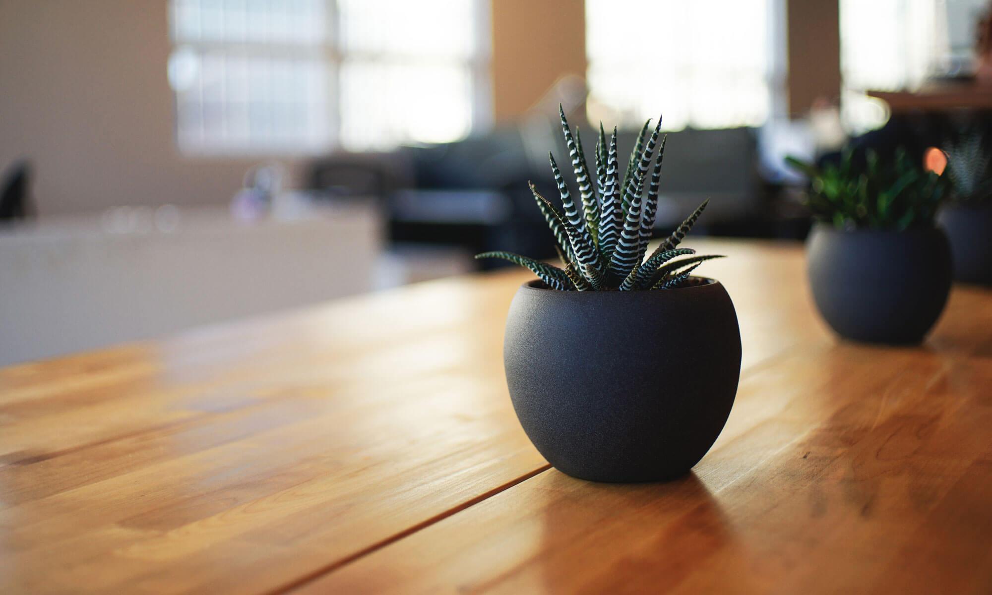 Spilchen Consulting